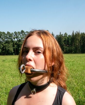 Medieval-Gag