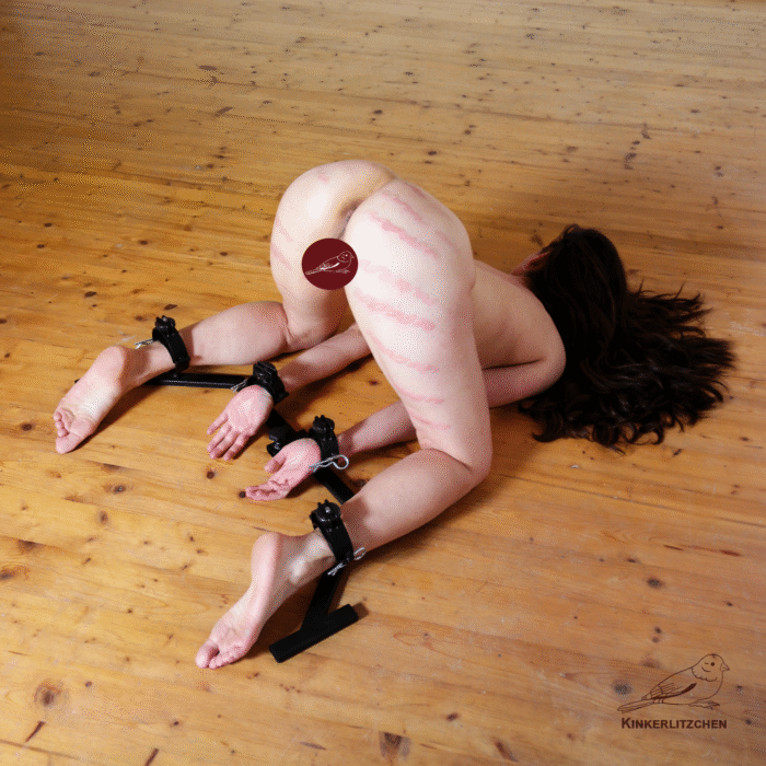 Bondage pillory - Image 10