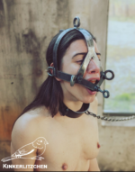 Scold´s bridle